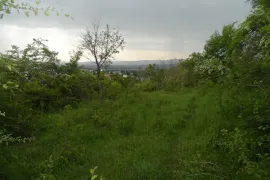 იყიდება მიწის ნაკვეთი, სასოფლო - სამეურნეო, საგარეჯო