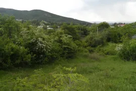 იყიდება მიწის ნაკვეთი, სასოფლო - სამეურნეო, საგარეჯო