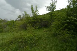იყიდება მიწის ნაკვეთი, სასოფლო - სამეურნეო, საგარეჯო