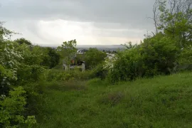 იყიდება მიწის ნაკვეთი, სასოფლო - სამეურნეო, საგარეჯო