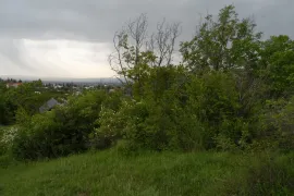 იყიდება მიწის ნაკვეთი, სასოფლო - სამეურნეო, საგარეჯო