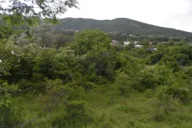 იყიდება მიწის ნაკვეთი, სასოფლო - სამეურნეო, საგარეჯო