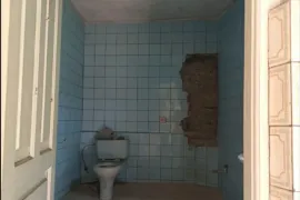 იყიდება სახლი, 5 ოთახიანი, ბორჯომი, წაღვერი