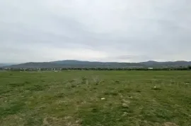 იყიდება მიწის ნაკვეთი, საინვესტიციო, საგურამო