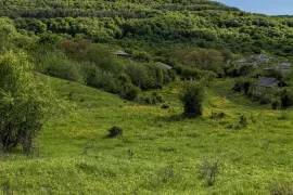 იყიდება მიწის ნაკვეთი, სასოფლო - სამეურნეო, ნოკორნა