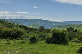 იყიდება მიწის ნაკვეთი, სასოფლო - სამეურნეო, ნოკორნა