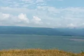 იყიდება მიწის ნაკვეთი, სასოფლო - სამეურნეო