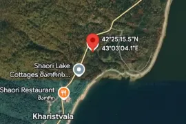 იყიდება მიწის ნაკვეთი, სასოფლო - სამეურნეო