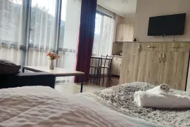 Daily Apartment Rent, 3 Room, New building, Borjomi , Likani