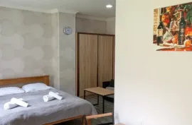 Daily Apartment Rent, 3 Room, New building, Borjomi , Likani