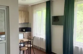 Daily Apartment Rent, 3 Room, New building, Borjomi , Likani