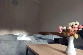 Daily Apartment Rent, 3 Room, New building, Borjomi , Likani