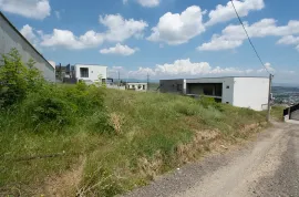 Land For Sale, Agricultural, Tkhinvala
