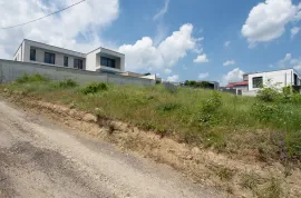 Land For Sale, Agricultural, Tkhinvala