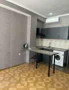 For Rent, 1 Room, New building, Tbilisi, Vedzisi