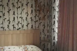 Daily Apartment Rent, 2 Room, New building, Tbilisi, Vashlijvari