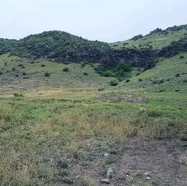 Land For Sale, Agricultural, Vardzia 