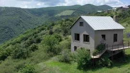 House For Sale, 5 Room, Suburbs of Tbilisi, Napetvrebi