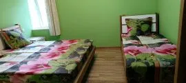 Daily Apartment Rent, 4 Room, Old building, Borjomi 