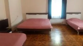 Daily Apartment Rent, 4 Room, Old building, Borjomi 