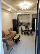 For Rent, 2 Room, New building, Tbilisi, Didi digomi