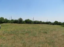 Продается Земля, Сельскохозяйственные, Kvemo Teleti