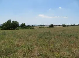 Продается Земля, Сельскохозяйственные, Kvemo Teleti