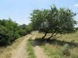 Land For Sale, Agricultural, Kvemo Teleti
