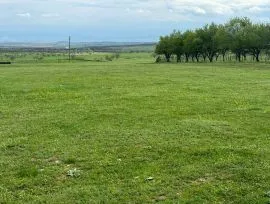 Land For Sale, Ertisi