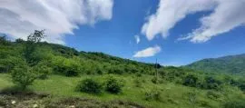 Land For Sale, Otaraani