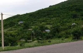 Land For Sale, Otaraani