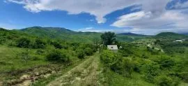 Land For Sale, Agricultural, Otaraani