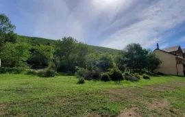 Land For Sale, Lisi lake