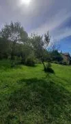 Land For Sale, Lisi lake