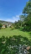 Land For Sale, Lisi lake