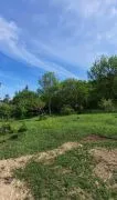 Land For Sale, Lisi lake