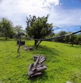 Land For Sale, Agricultural, Grigoleti