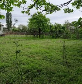 Land For Sale, Agricultural, Grigoleti