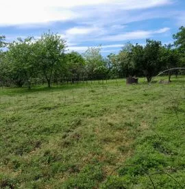 Land For Sale, Agricultural, Grigoleti