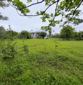 Land For Sale, Agricultural, Grigoleti