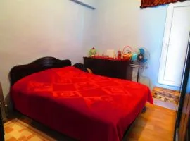 Apartment for sale, 2 Room, Old building, Tbilisi, Nadzaladevi