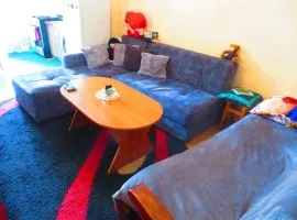 Apartment for sale, 2 Room, Old building, Tbilisi, Nadzaladevi