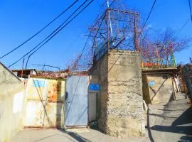 Продается квартира, 2 Kомнатная, Старое здание, Тбилиси, Надзаладеви