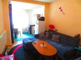 Apartment for sale, 2 Room, Old building, Tbilisi, Nadzaladevi