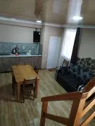 House For Rent, 2 Room, Borjomi , Sadgeri