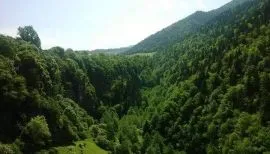 House For Rent, 2 Room, Borjomi , Sadgeri