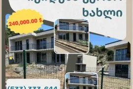 იყიდება სახლი, 5 ოთახიანი, თბილისი, სანზონა