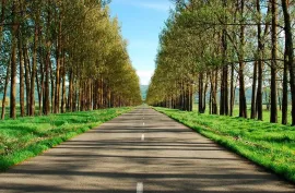 Land For Sale, Agricultural, Zemo Nakalakari