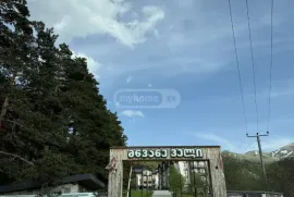 ქირავდება ბინა დღიურად, 2 ოთახიანი, ახალი აშენებული, ბორჯომი, ბაკურიანი