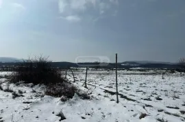 Land For Sale, Agricultural, Ikalto 